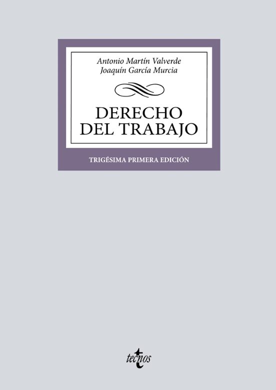 DERECHO DEL TRABAJO VV AA Casa Del Libro