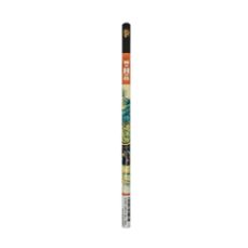 pack de 4 lápices naturaleza muerta de van gogh 2hb paperblanks-9780349714233