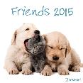 calendario 2015 friends 30x30cm-4002725770301 calendario 2015 friends 30x30cm-4002725770301