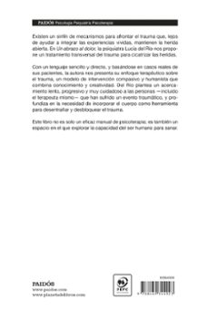 un abrazo al dolor-lucía del río-9788449344923