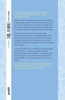 Imagen Secuandaria de Li receptaré un altre gat. Abrir galería completa.