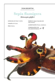 los secretos del pulpo-sy montgomery-9788482988764