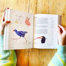 manual de ilustración científica-9788408252221