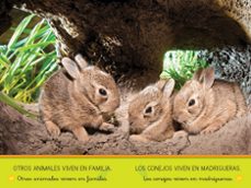 aprende a leer con national geographic (prelectores) - casas de animales-shira evans-9788482988221