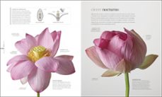 flora-9780241612231