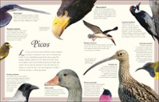 antología de aves extraordinarias (planeta curioso)-ben hoare-9780241773536