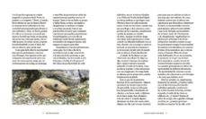 sentir el bosque: la experiencia del shinrin-yoku (baño de bosque )-alex gesse-9788417338138