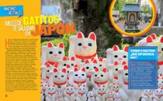 records de mascotas-julie beer-9788482987941