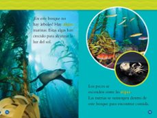 aprende a leer con national geographic (nivel 1) - el oceano-jennifer szymanski-9788411320443