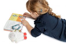 l ovelleta que va venir a sopar (inclou peluix) (l ovelleta que a venir a sopar)-steve smallman-joelle dreidemy-9788448860943