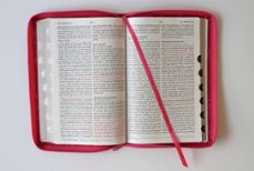 biblia reina valera 1960 letra grande. símil fucsia-9781644733851