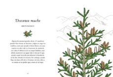 se como un árbol-annie davidson-9788491294856