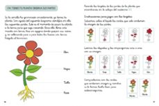 descubre la naturaleza con montessori: cuentos y actividades sobre las plantas-klara moncho-paula bugueño-9788448854065