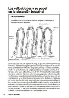 la clave esta en la digestion-lene knudsen-9788416449767