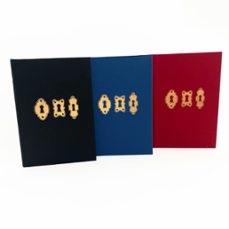 la puerta de los tres cerrojos 1. edición especial-sonia fernandez vidal-9788408294269