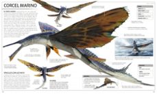 avatar: el sentido del agua. diccionario visual-9780241594971