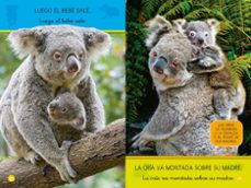 aprende a leer con national geographic (prelectores) - koalas-jennifer szymanski-9788411320573