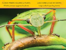 aprende a leer con national geographic (prelectores) - bichos-shira evans-9788482988474