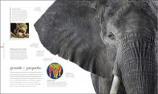 fauna: el mundo secreto de los animales-9780241470275