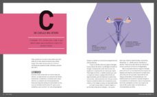 v de vagina: guia completa para la mujer de la a a la z: todo lo que siempre has querido saber: salud, placer, hormonas y mas-alyssa dweck-robin westen-9788416895380