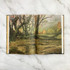 la vida secreta de los árboles (edición ilustrada)-peter wohlleben-fred bernard-9788419875983
