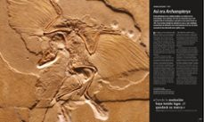 ciencia: la guia visual definitiva-9780241371794