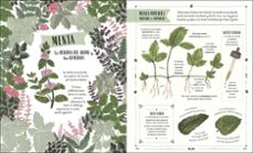 jardín-riz reyes-9780241797495