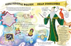 pocket potters 4 - profesor dumbledore-j.k. rowling-9788419868596