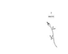 wabisabi-maria valero-9788418051098