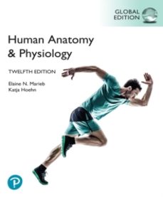human anatomy & physiology, global edition-elaine marieb-9781292421803