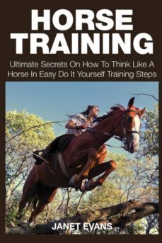 horse training-9781633831803