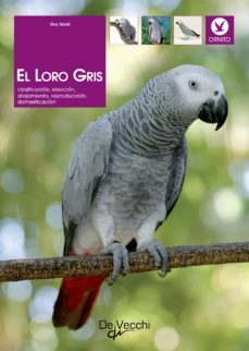el loro gris (ebook)-guy barat-9781646999903