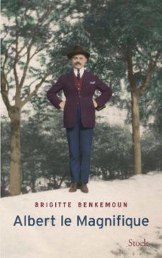albert le magnifique (ebook)-brigitte benkemoun-9782234079403