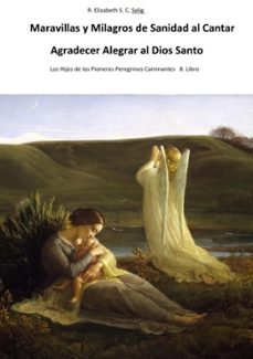 maravillas y prodigios  milagros     rescates del  dios   santo creador (ebook)-r. elizabeth s. c. selig-9783754168103