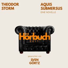 aquis submersus. eine novelle. (audiolibro)-theodor storm-9783754520703