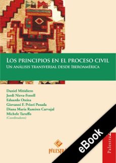los principios en el proceso civil (ebook)-9786123253103