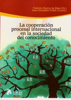la cooperacion procesal internacional en la sociedad del conocimiento-9788417466503