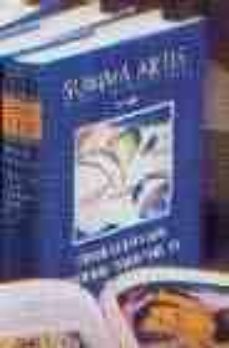 summa artis (vol. 37): pintura y escultura españolas del sigl o xx (1939-1990)-valeriano bozal-9788423954803