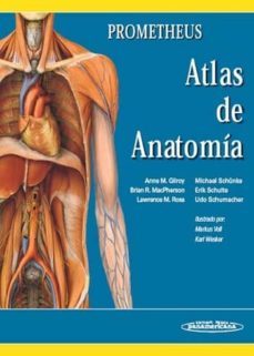 prometheus: atlas de anatomia-anne m. gilroy-9788479036003