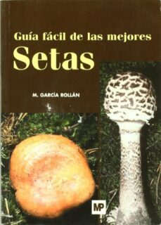 guia facil de las mejores setas-9788484762003