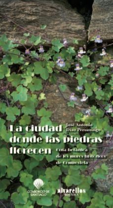 la ciudad donde las piedras florecen-jose antonio diaz peromingo-9788489323803