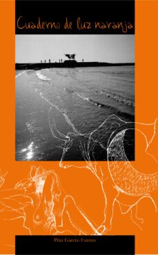 cuaderno de luz naranja-pilar garcia fuertes-9788496349803