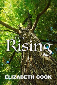 the rising (ebook)-elizabeth cook-9798223143703