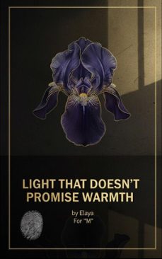 light that doesnt promise warmth. (ebook)-9798233091803