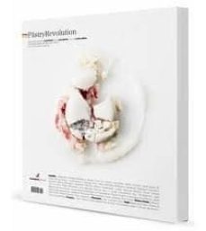 pastryrevolution (20ª ed.)-2910019875613