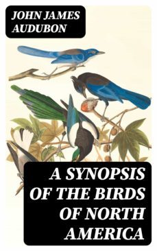 a synopsis of the birds of north america (ebook)-8596547219613