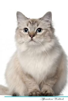 ragdoll cat affirmations workbook ragdoll cat presents-9781526974013