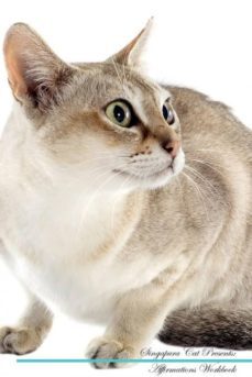 singapura cat affirmations workbook singapura cat presents-9781526975713