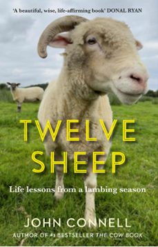 twelve sheep (ebook)-9781805461913