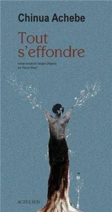 tout s effondre-9782330024413
